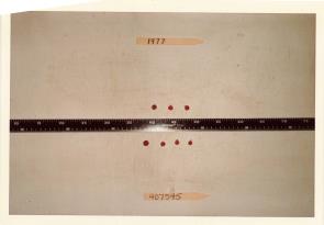 Click for 1 image(s) for this accession. FRUIT